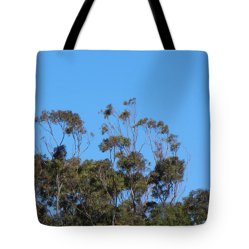 Bird Tote Bag featuring the photograph Bird In A Tree by Mark Blauhoefer