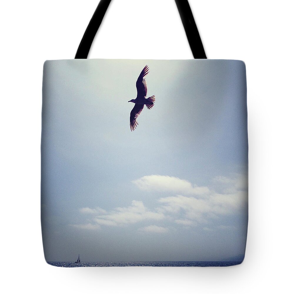 Tranquility Tote Bag featuring the photograph Bird In Flight by Denise Taylor