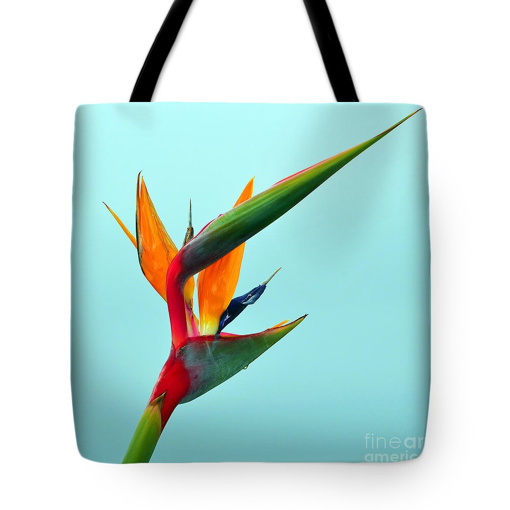Bird Of Paradise Tote Bag featuring the photograph Bird Of Paradise Against Aqua Sky by Debra Thompson