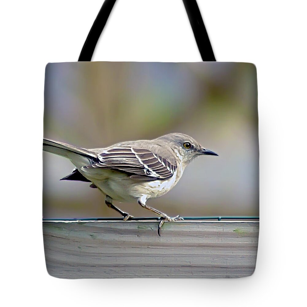 2d Tote Bag featuring the photograph Bird On The Fence by Brian Wallace