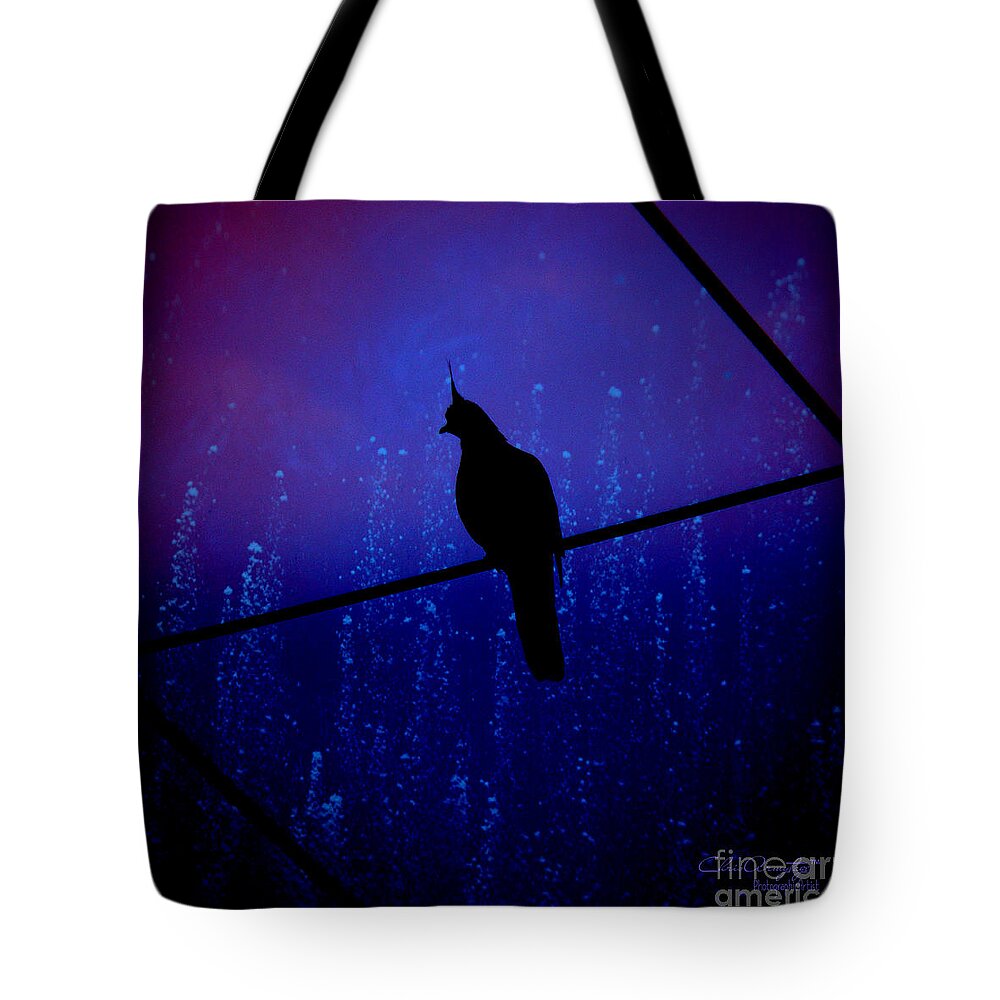 Midnight Tote Bag featuring the photograph Bird on the wire ... by Chris Armytage
