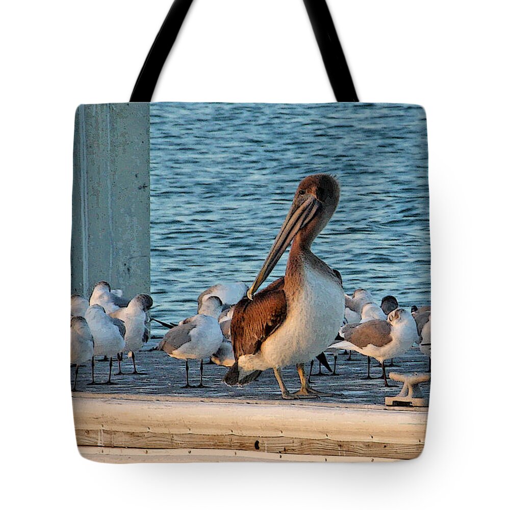 Brown Pelican Tote Bag featuring the photograph Birds - Among Friends by HH Photography of Florida