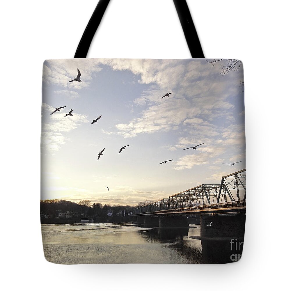 Birds Tote Bag featuring the photograph Birds and Bridges by Christopher Plummer
