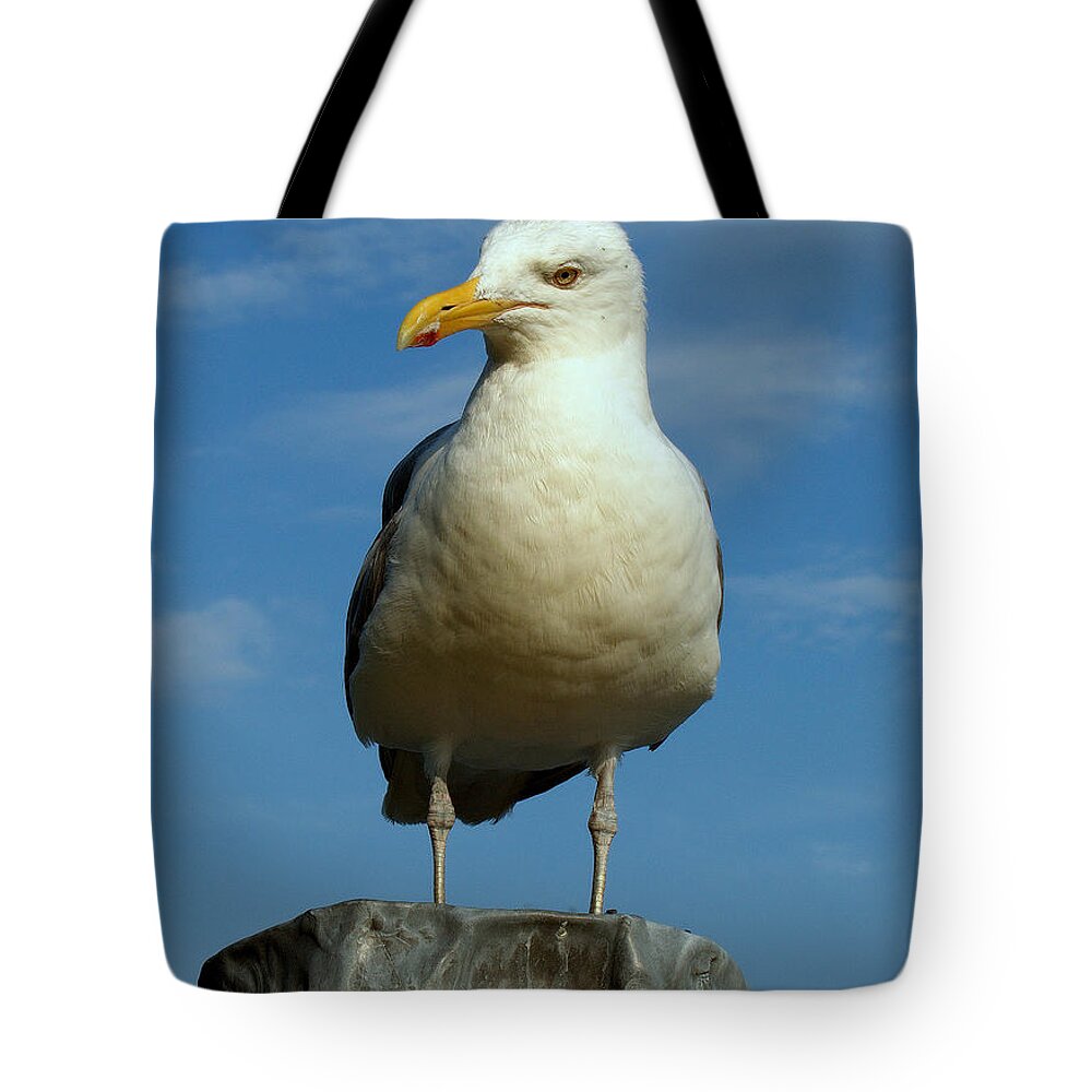 Seascape Tote Bag featuring the photograph Bird's Eye View by Caroline Stella