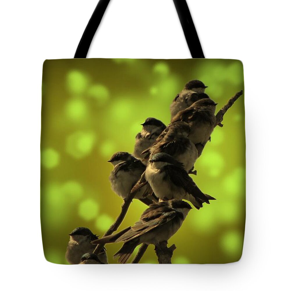 Bird Tote Bag featuring the photograph Birds of A Feather by David Dehner
