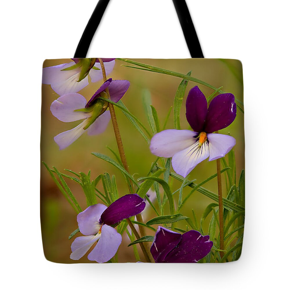 2012 Tote Bag featuring the photograph Birdsfoot Violet by Robert Charity
