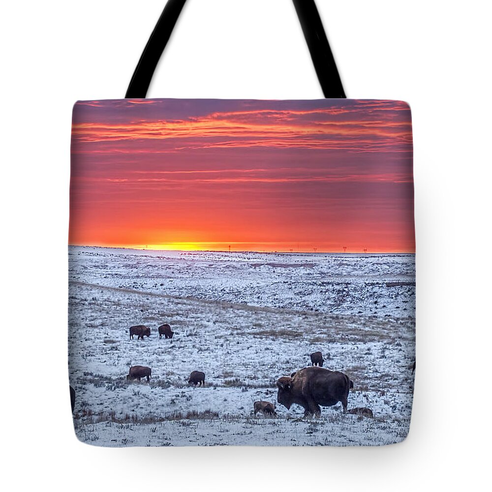 Kansas Tote Bag featuring the photograph Bison at Sunset by Rob Graham