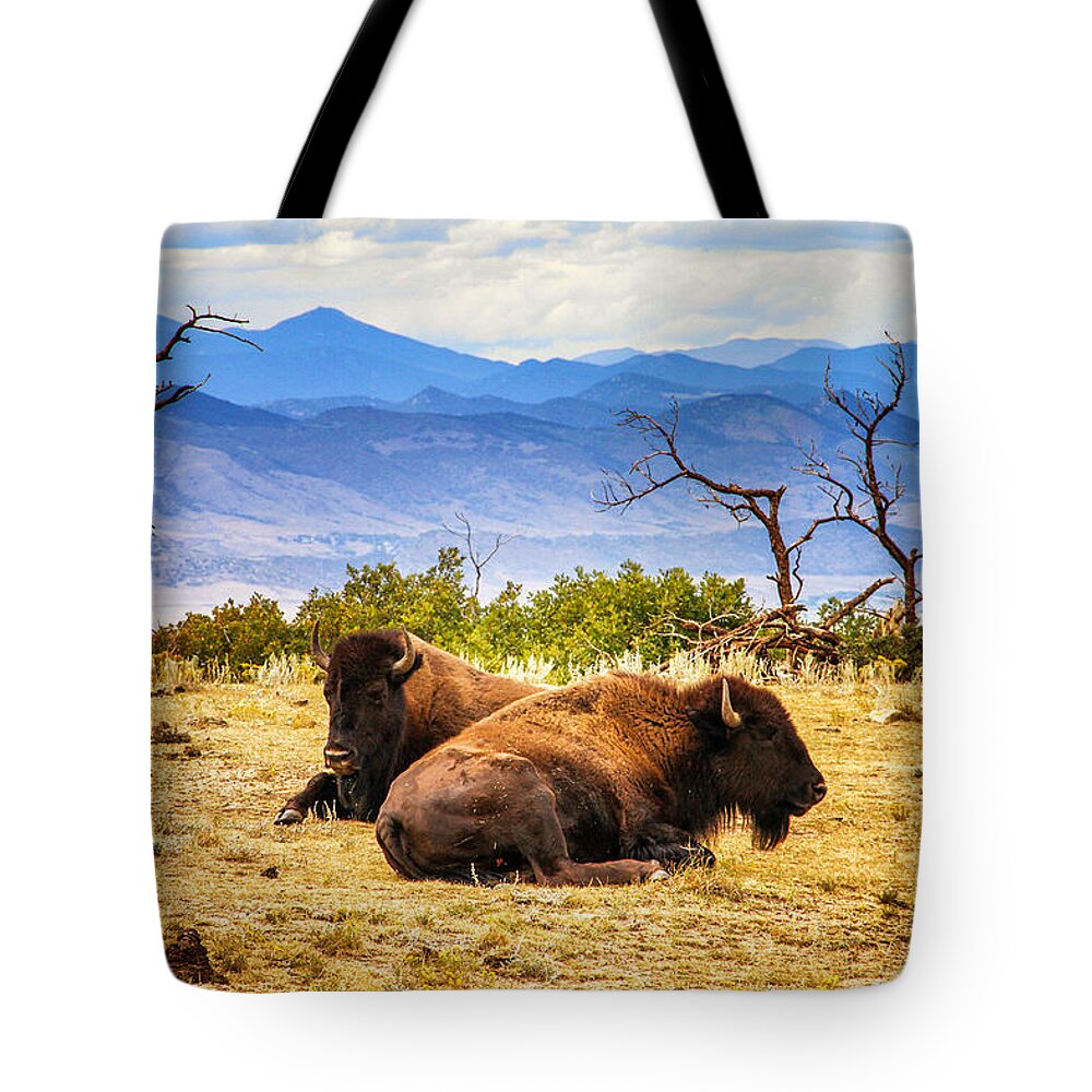 Colorado Tote Bag featuring the photograph Bison Bison by Juli Ellen