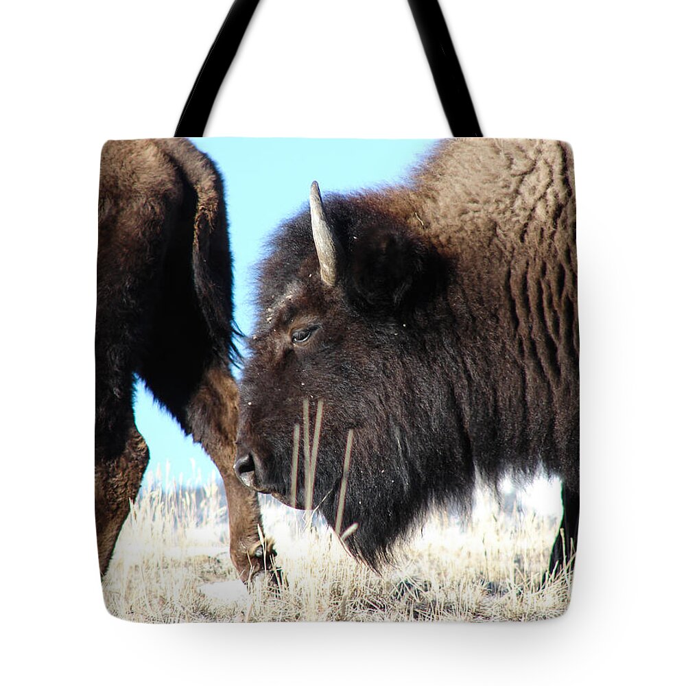 Bison Tote Bag featuring the photograph Bison by Carl Moore