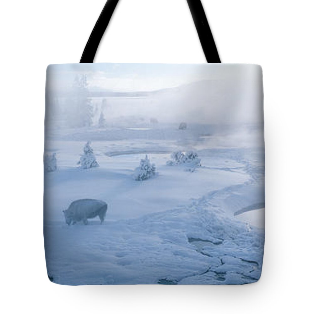 Photography Tote Bag featuring the photograph Bison West Thumb Geyser Basin by Panoramic Images