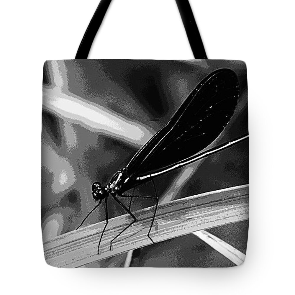 Insect Tote Bag featuring the photograph Black And White Damselfly by Donna Brown