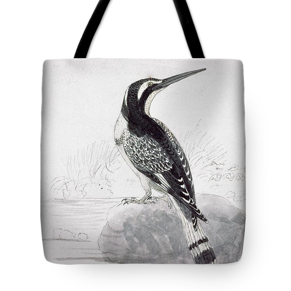 Bird Tote Bag featuring the painting Black And White Kingfisher by Thomas Bewick