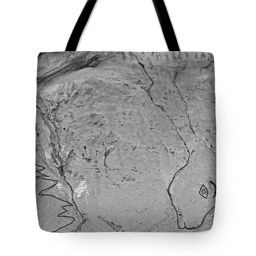 Augusta Stylianou Tote Bag featuring the digital art Black and White Abstract Nature by Augusta Stylianou