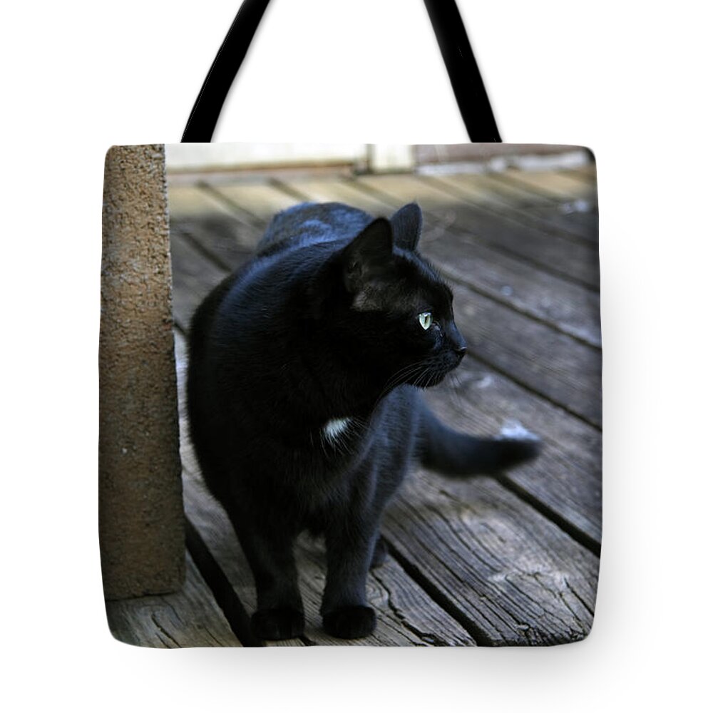 Black Tote Bag featuring the photograph Black Cat on Porch by Melinda Fawver