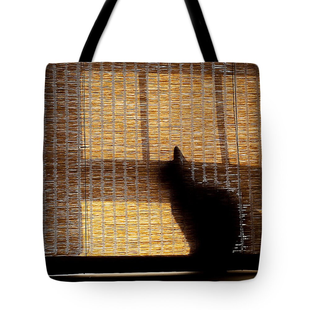 Silhouette Tote Bag featuring the photograph Black Cat by Rick Mosher