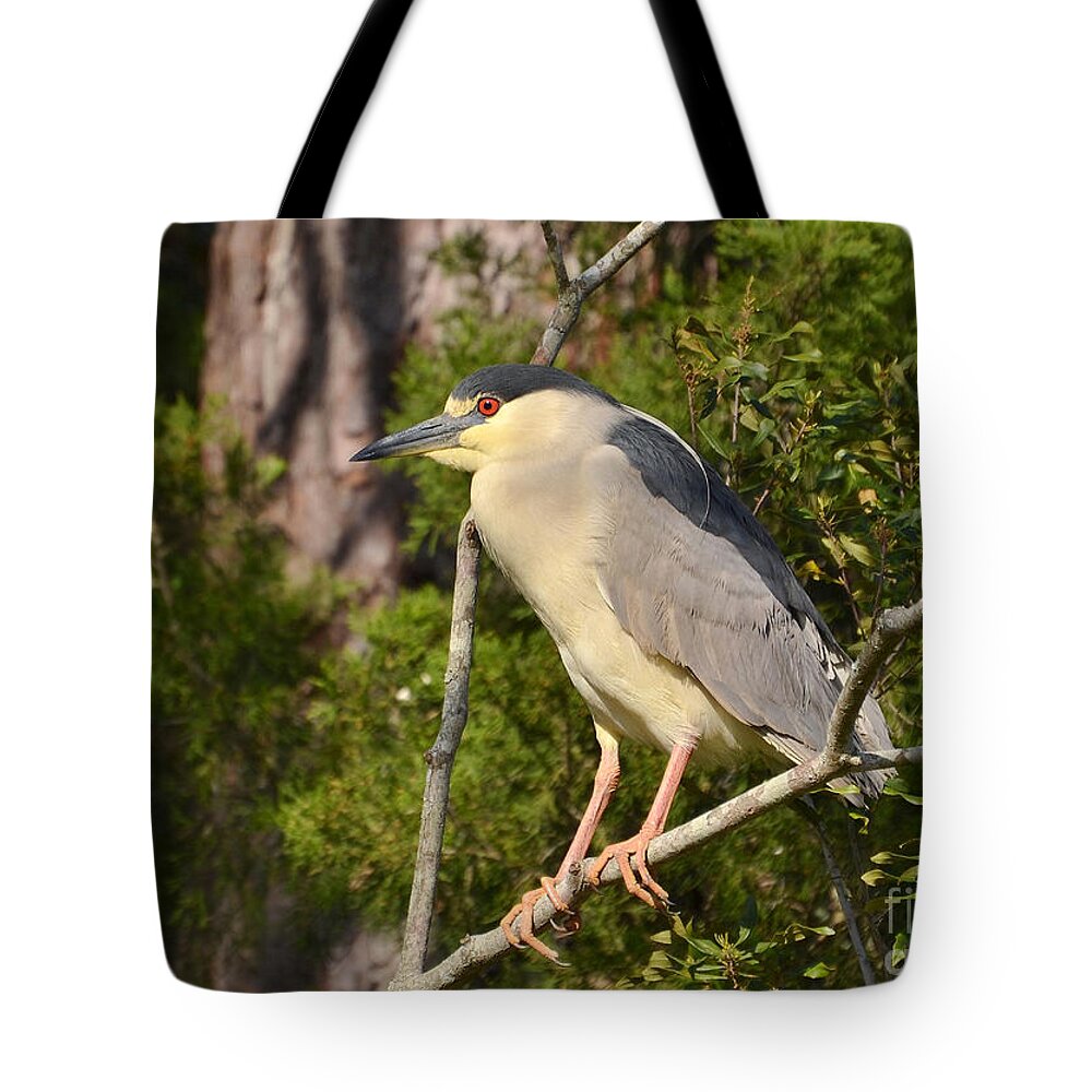 Heron Tote Bag featuring the photograph Black Crown Night Heron by Kathy Baccari