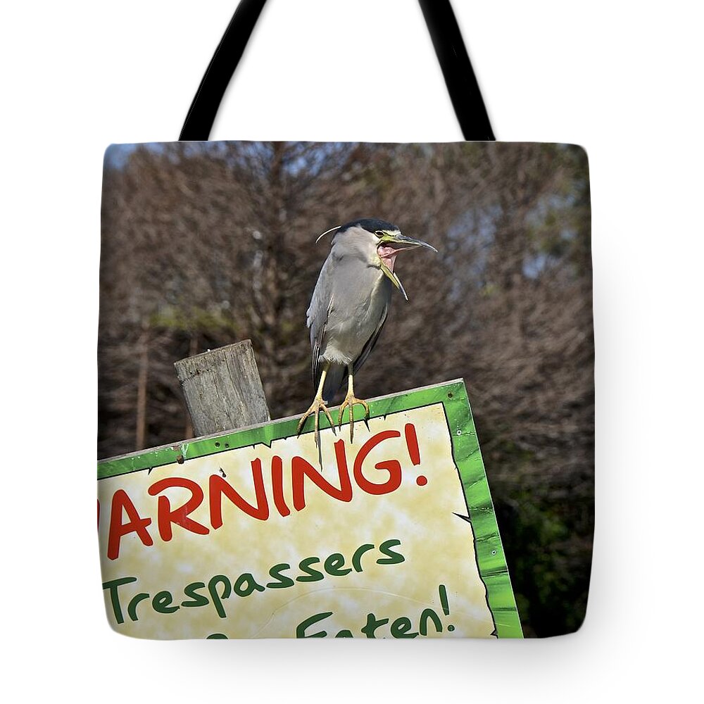 Heron Tote Bag featuring the photograph Black-Crowned Night Heron by Carol Bradley