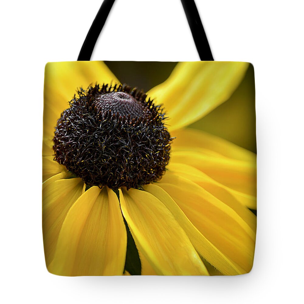 Black Eyed Susan Tote Bag featuring the photograph Black Eyed Susan by Julie Palencia
