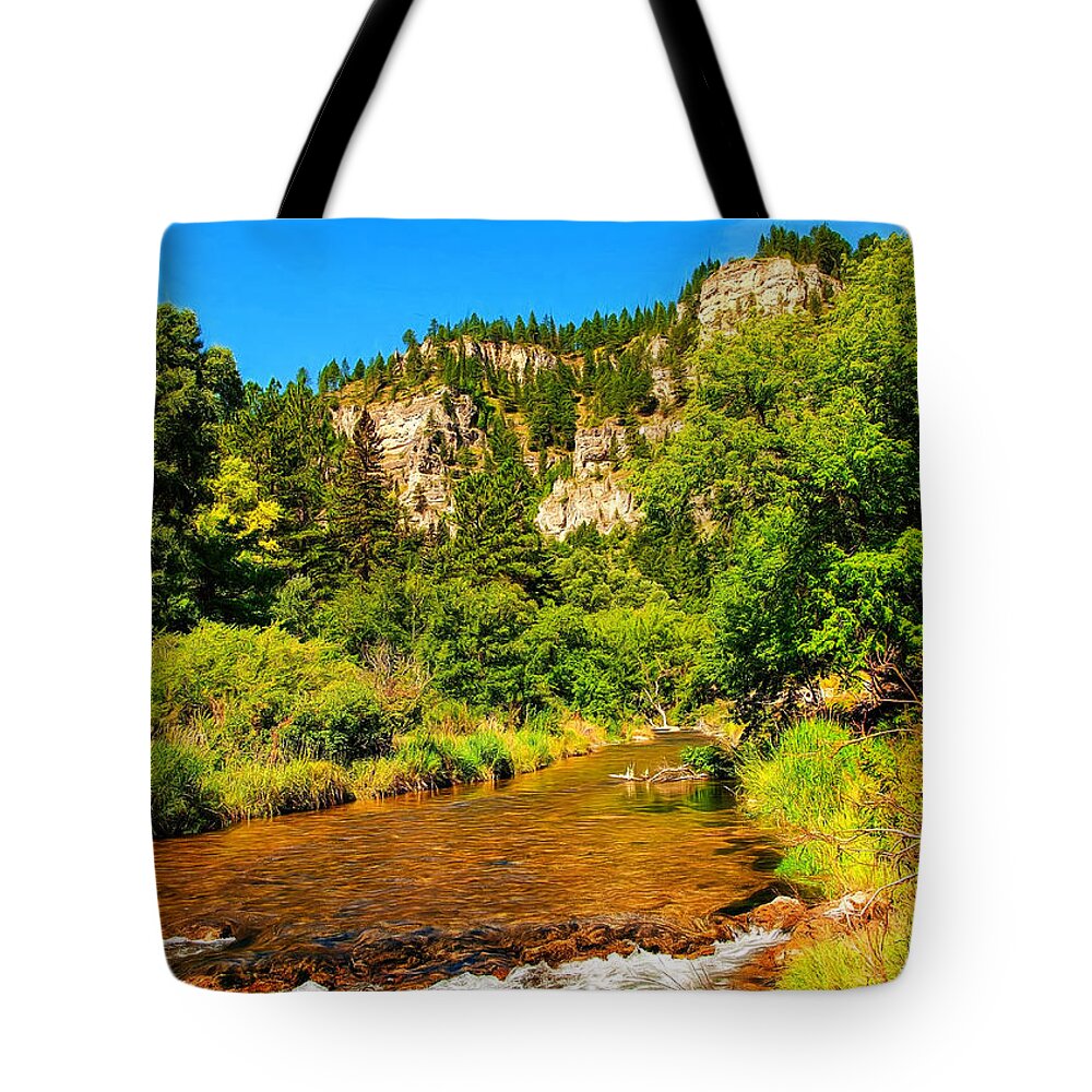 Sky Tote Bag featuring the photograph Black Hills Beauty by John M Bailey