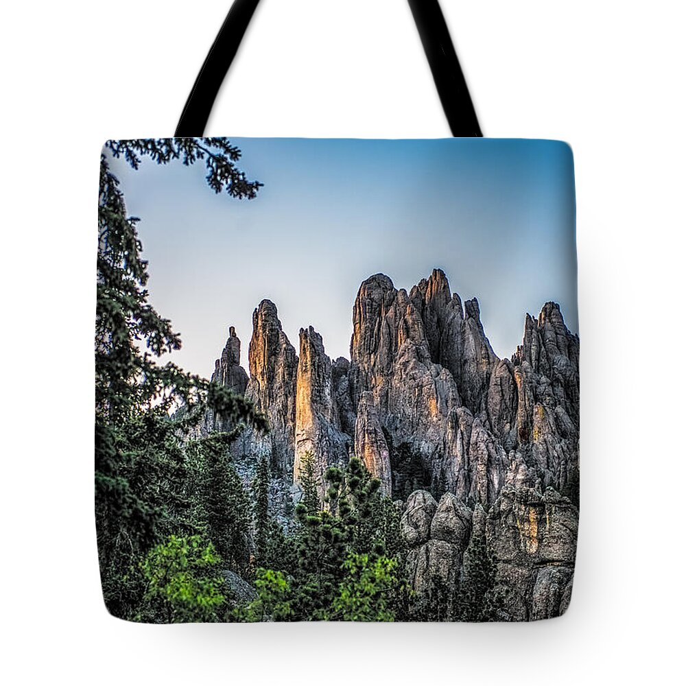 Mountain Tote Bag featuring the photograph Black Hills Needles by Paul Freidlund