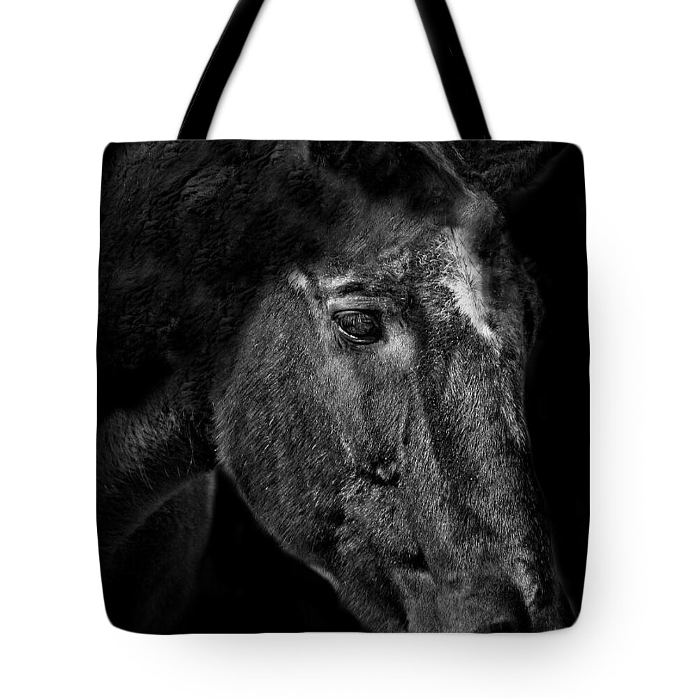 Macro Tote Bag featuring the photograph Black Jack Retired by Barbara S Nickerson