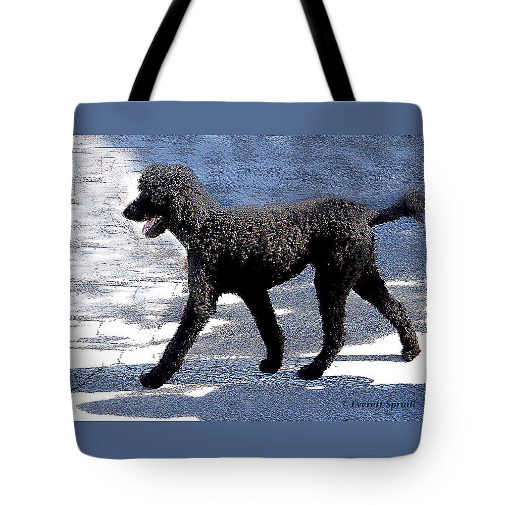 Everett Spruill Tote Bag featuring the photograph Black Poodle by Everett Spruill