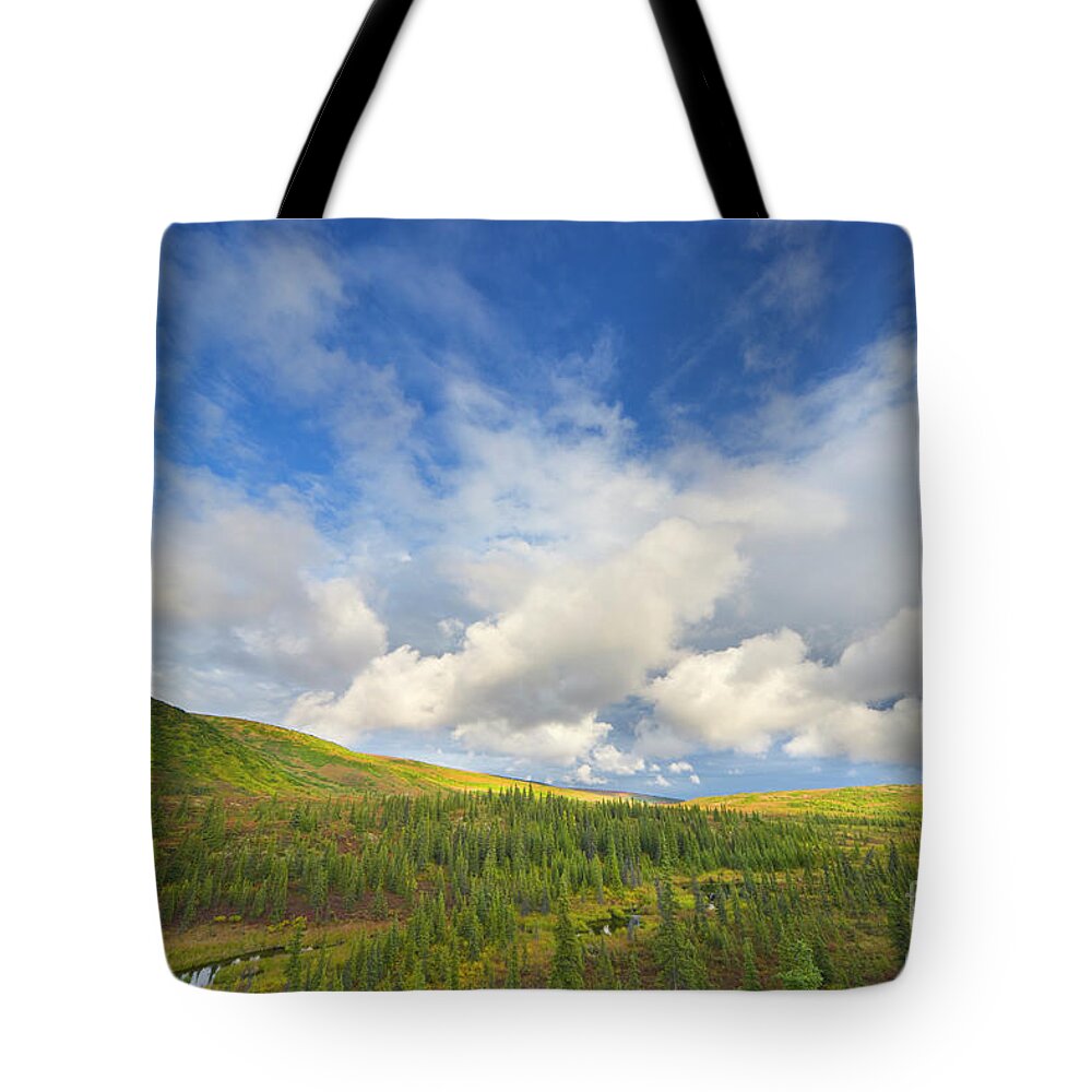00431045 Tote Bag featuring the photograph Black Spruce on Fall Tundra by Yva Momatiuk John Eastcott
