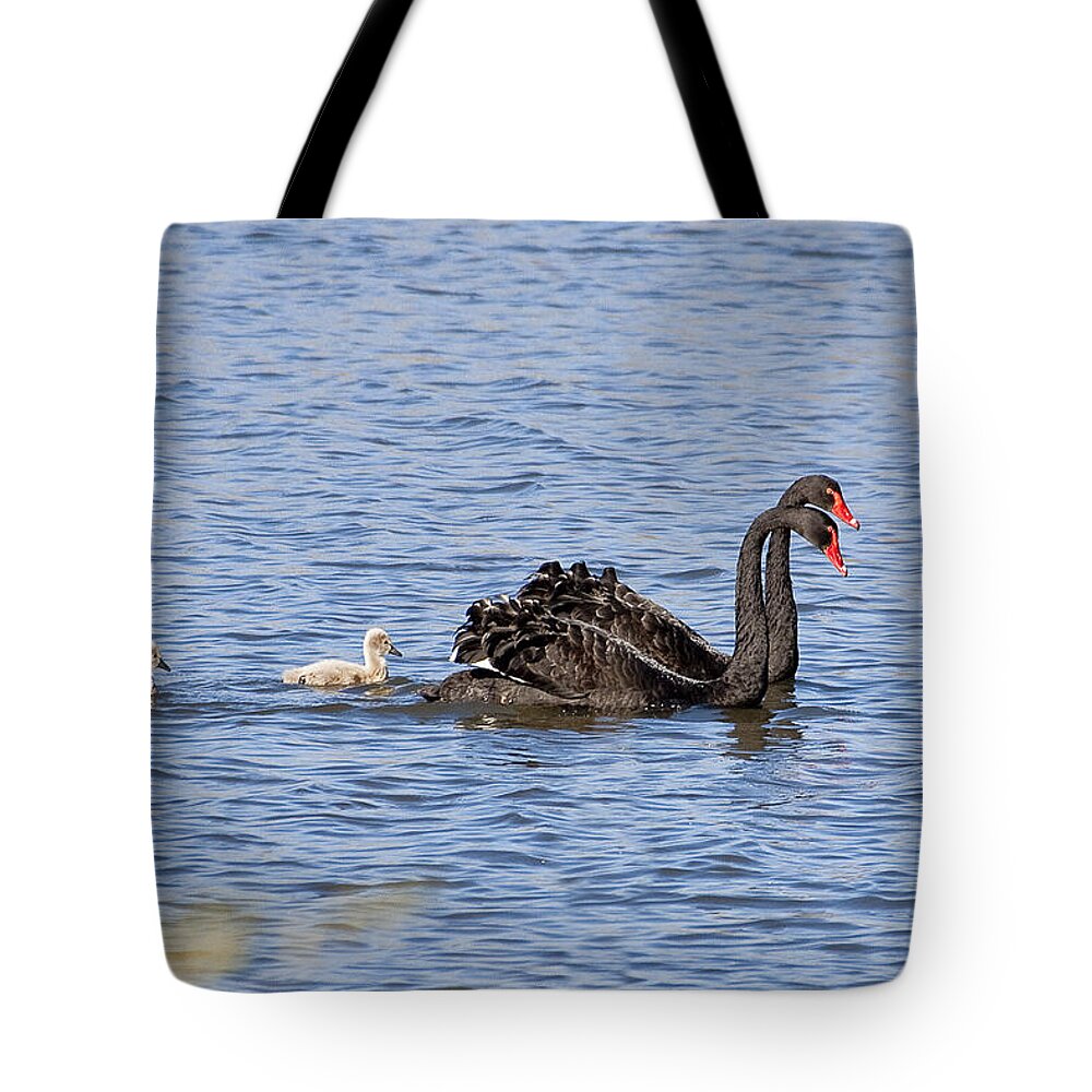 Australia Tote Bag featuring the photograph Black swans by Steven Ralser