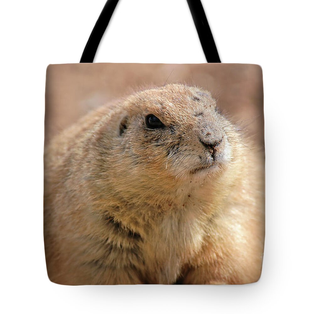 Black-tailed Tote Bag featuring the photograph Black-tailed Prairie Dog by Al Andersen