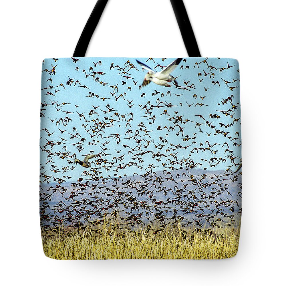 Birds Tote Bag featuring the photograph Blackbirds and Geese by Steven Ralser