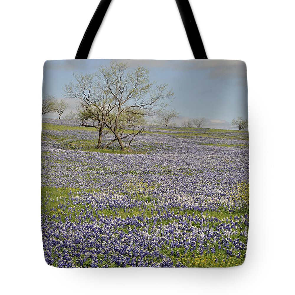 Bluebonnet Scenery Tote Bag featuring the photograph Blanket of Bluebonnets by Pamela Smale Williams