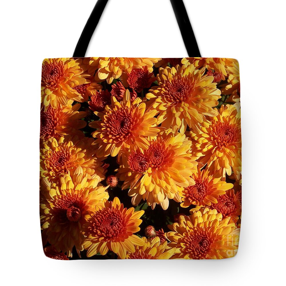 Blaze Of Flowers Tote Bag featuring the photograph Blaze of Flowers by Kevin Croitz