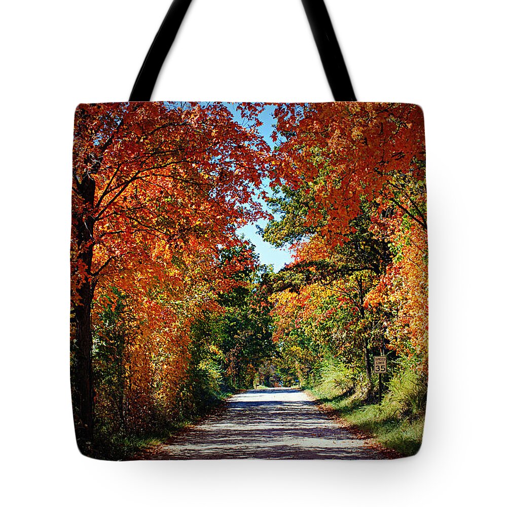 Trees Tote Bag featuring the photograph Blaze of Glory by Cricket Hackmann