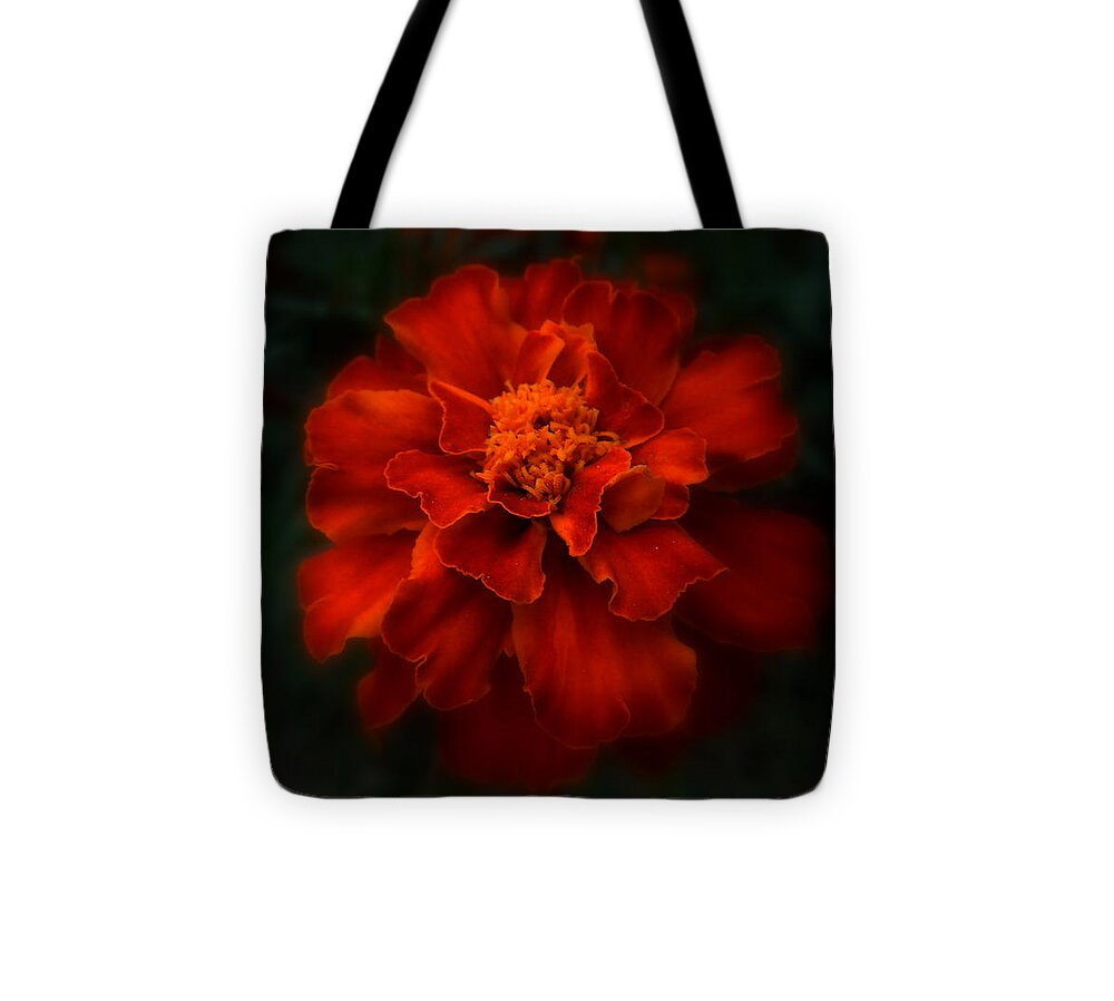 Marigold Tote Bag featuring the photograph Blazing Marigold by Diannah Lynch