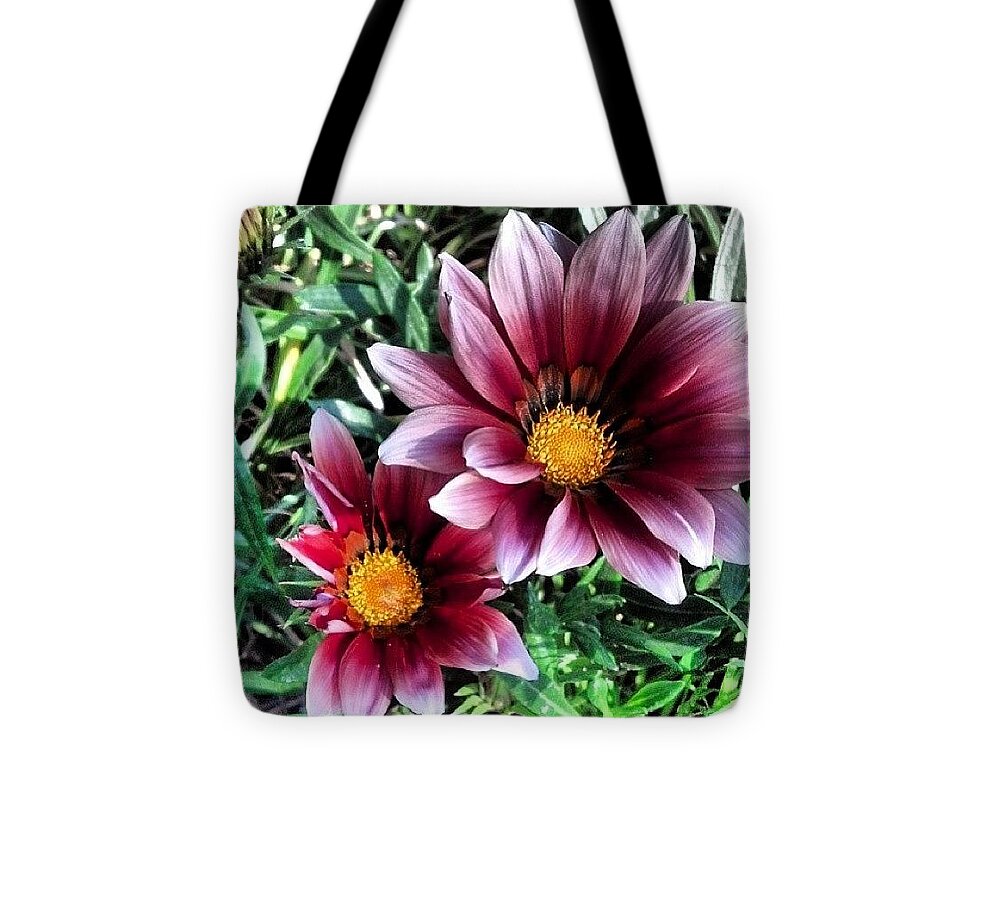 Blooming Tote Bag featuring the photograph Blooming Again In January .. by Sandra Lira