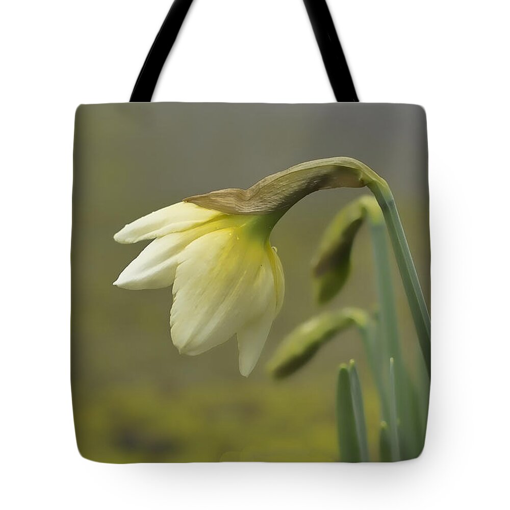 Daffodil Wall Art Tote Bag featuring the photograph Blooming Daffodils by Ron Roberts