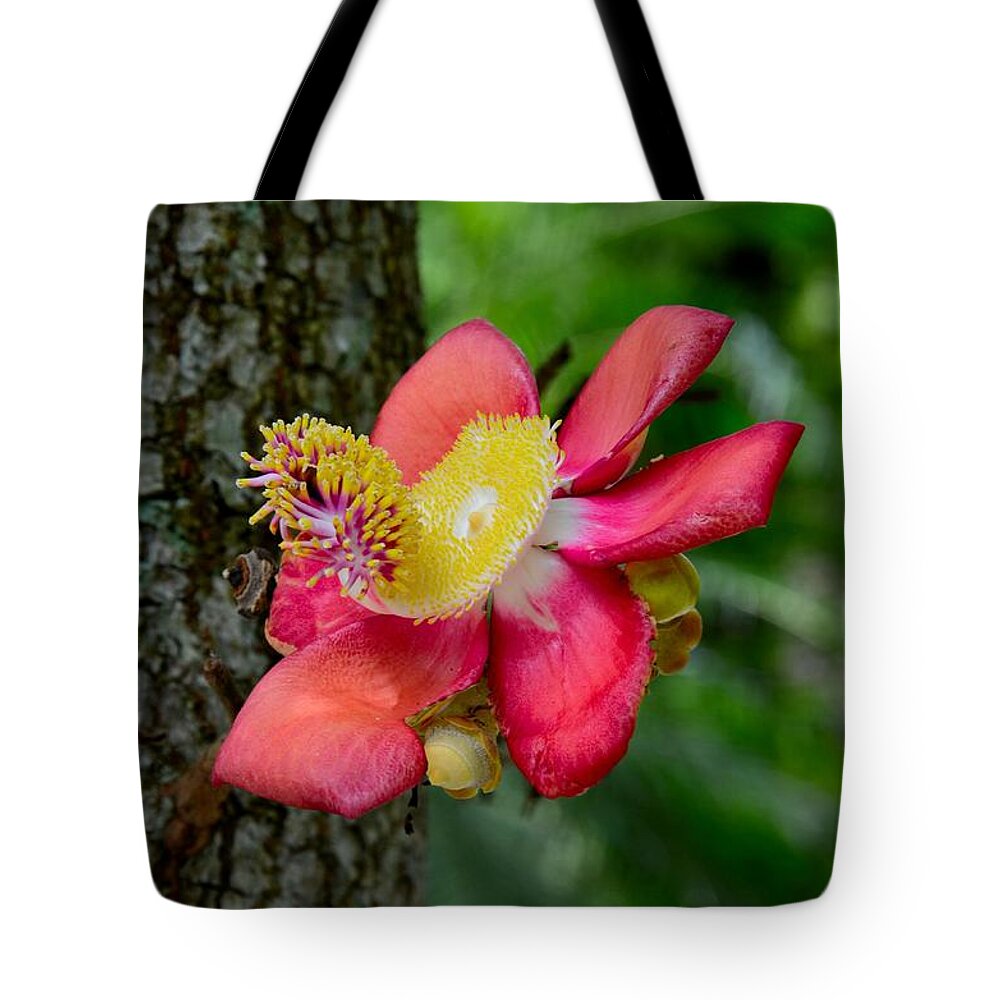  Flower Tote Bag featuring the photograph Blooming flower of Cannonball Tree by Imran Ahmed
