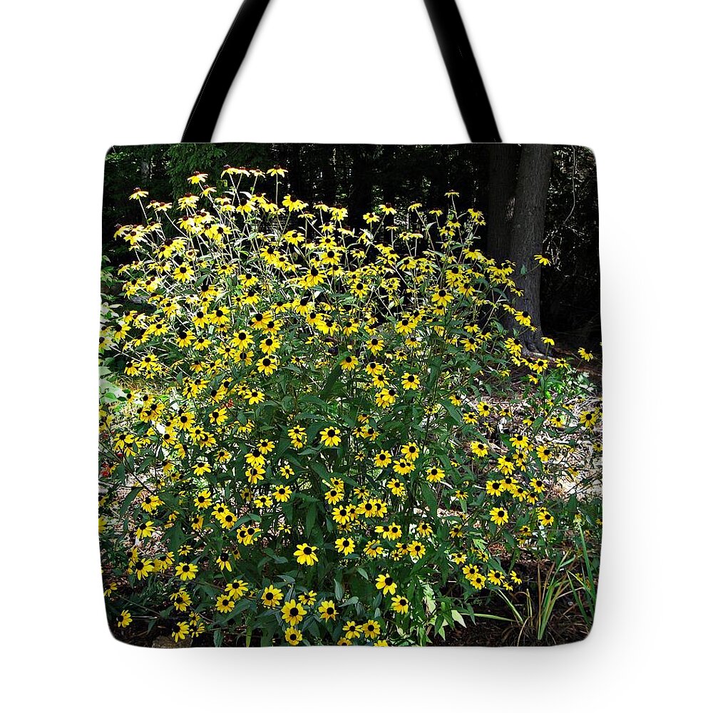 Rudbeckia Tote Bag featuring the photograph Blooming Rudbeckia Bush by MTBobbins Photography