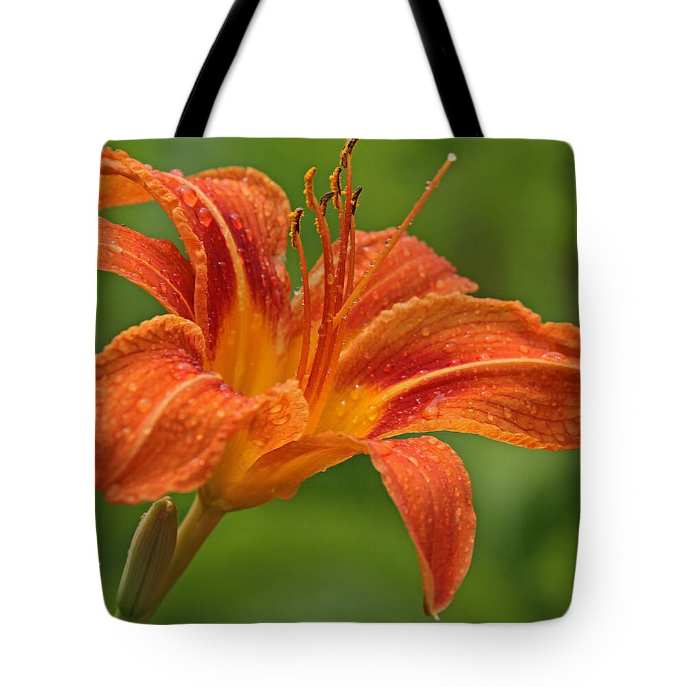 Orange Tote Bag featuring the photograph Blooming Tiger Lily by Juergen Roth