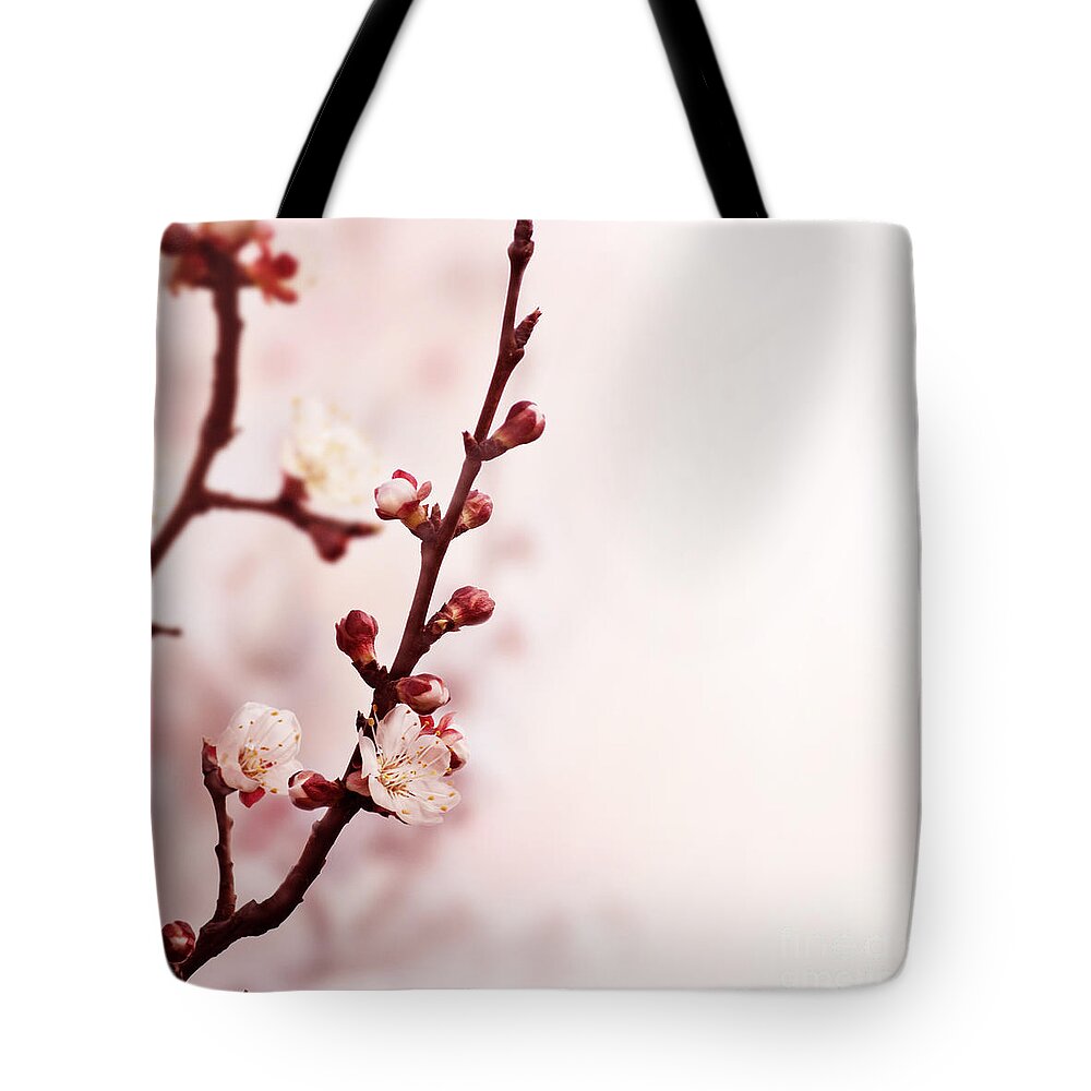 Blossom Tote Bag featuring the photograph Blossom Flower by Jelena Jovanovic