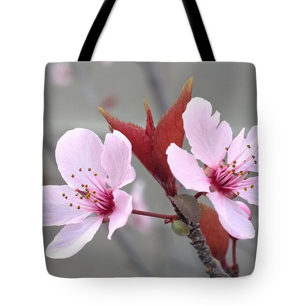 Blossoms Tote Bag featuring the photograph Blossoms of the Japanese plum tree in Las Vegas Nevada 2 by Jennifer E Doll