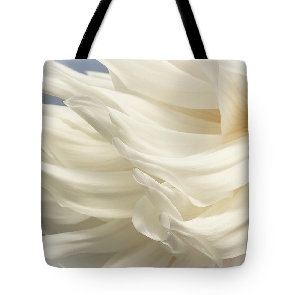 Dahlias Tote Bag featuring the photograph Blowing in the WInd by Marilyn Cornwell