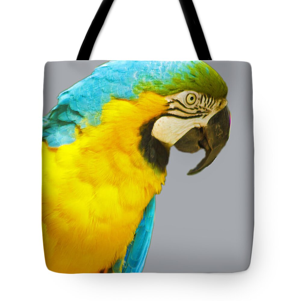 Macaw Tote Bag featuring the photograph Blue and Gold Macaw by Bill Barber