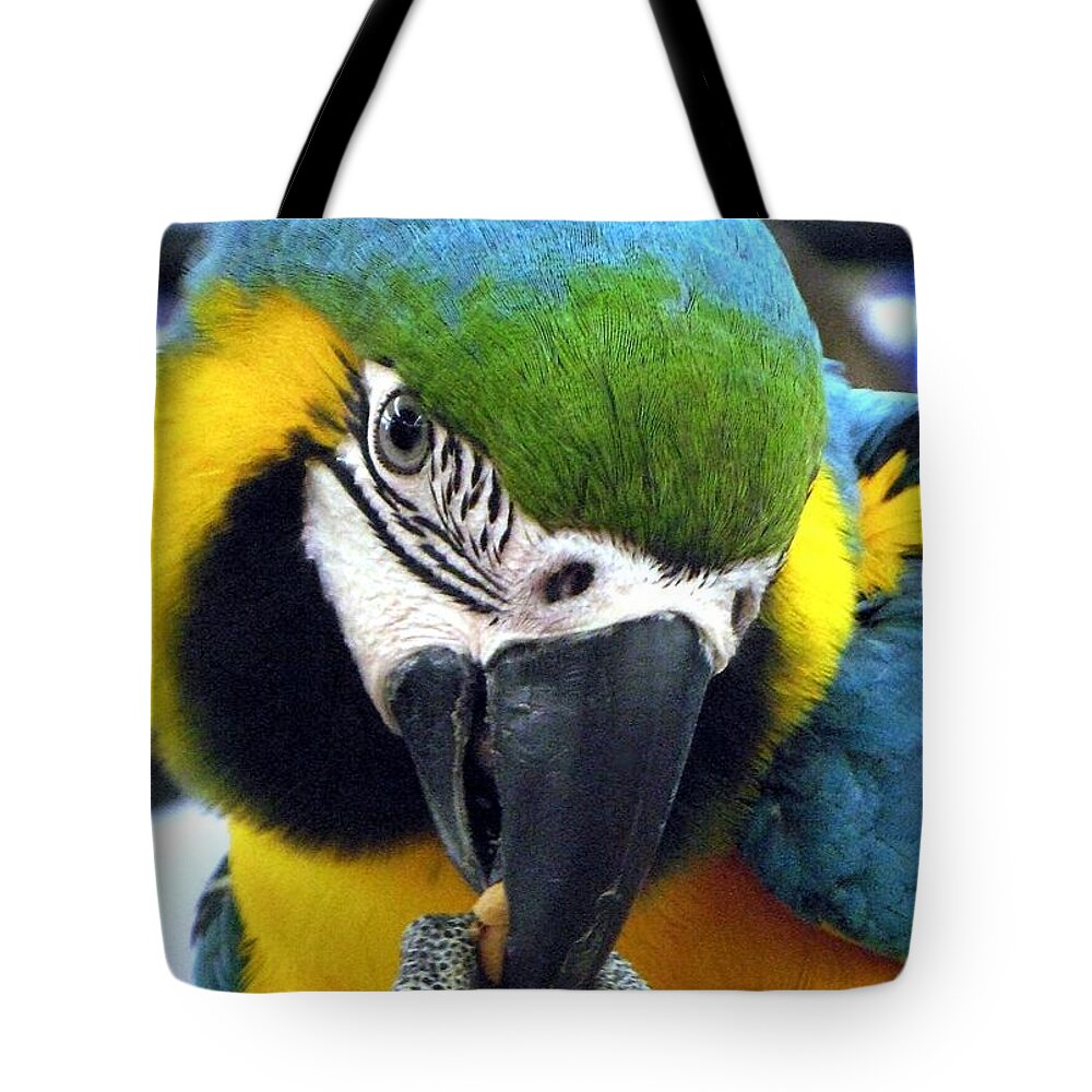 Macaw Tote Bag featuring the photograph Blue and Gold Macaw with a Peanut by Andrea Lazar