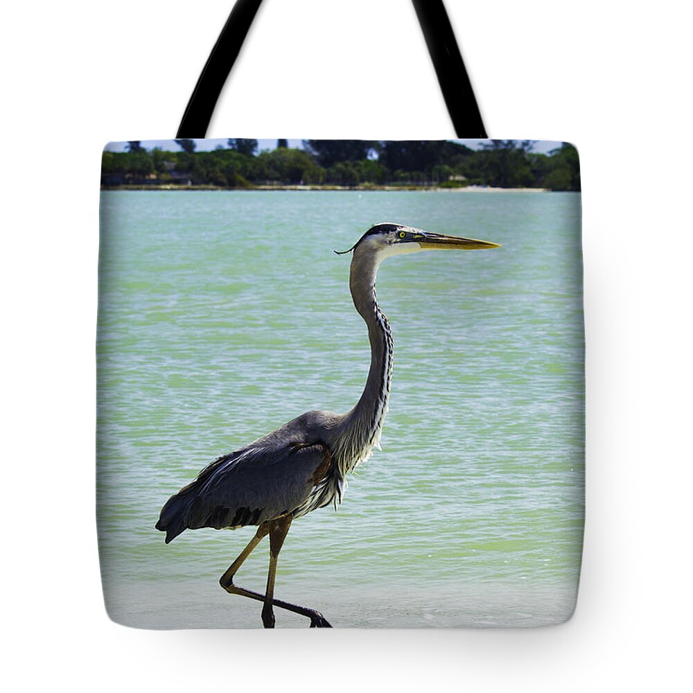 susan Molnar Tote Bag featuring the photograph Blue and Green by Susan Molnar