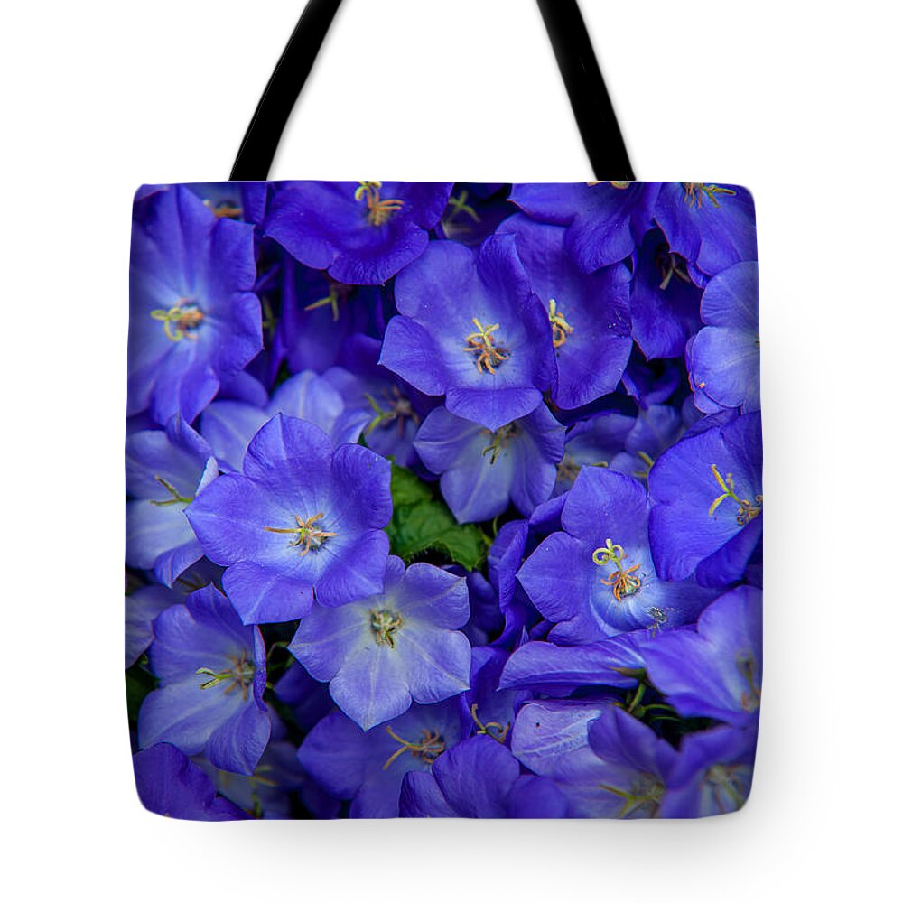 Bluebells Tote Bag featuring the photograph Blue Bells Carpet. Amsterdam Floral Market by Jenny Rainbow