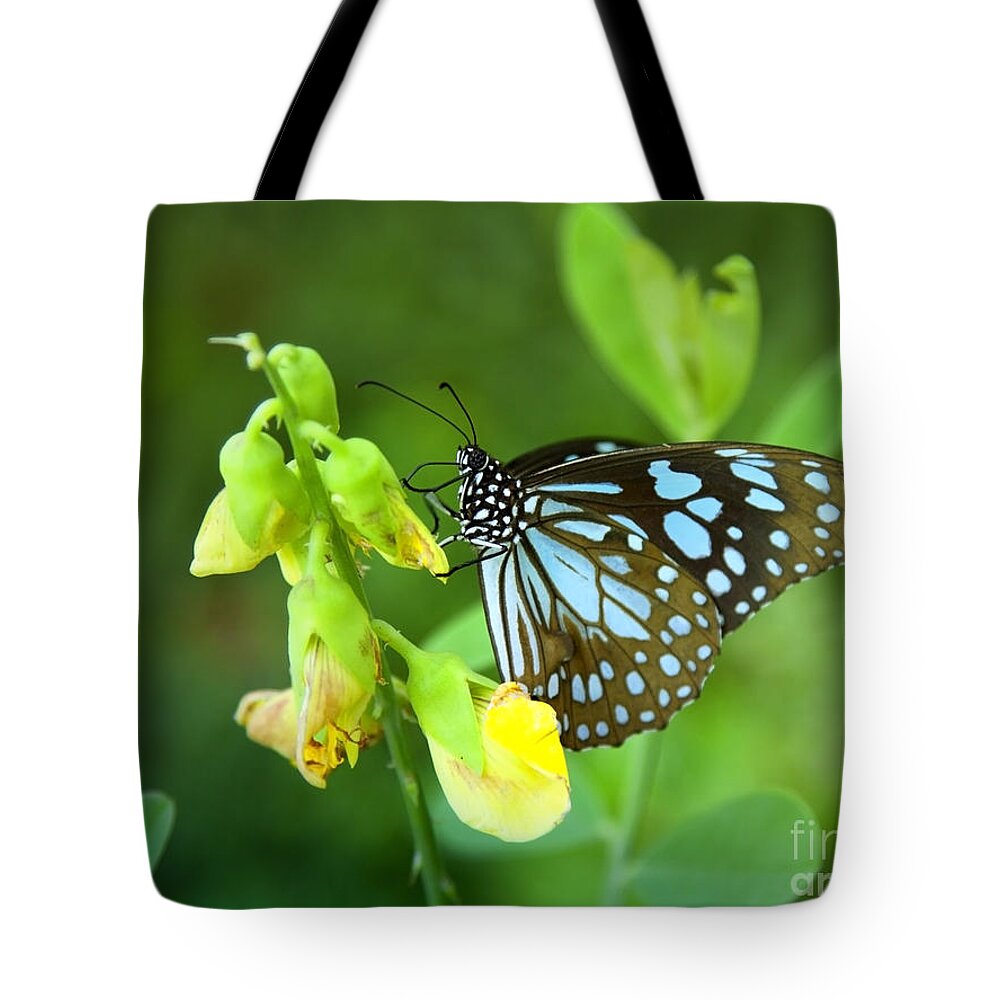 Butterfly Tote Bag featuring the photograph Blue Butterfly In The Green Garden by Gina Koch