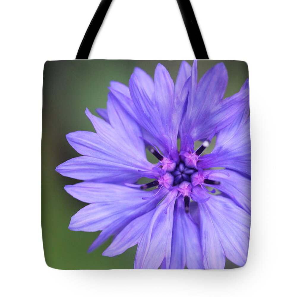 Blue Flower Tote Bag featuring the painting Blue Button by Ruth Kamenev
