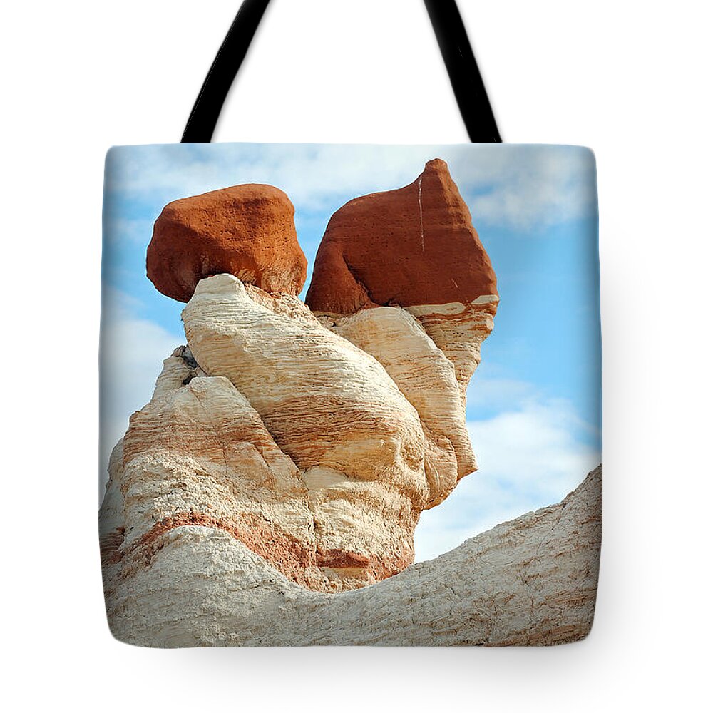 Blue Canyon Arizona Tote Bag featuring the photograph Blue Canyon 49 by JustJeffAz Photography