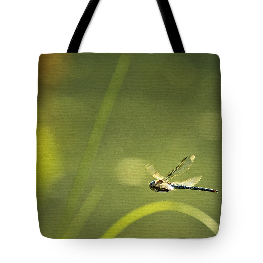 Blue Darner Tote Bag featuring the photograph Blue Darner Dragonfly - Green Water and Light by Belinda Greb